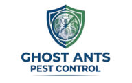 Ghost Ants Pest Control